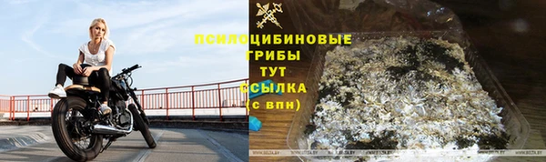 спайс Алзамай