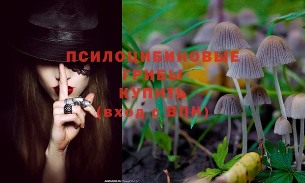 спайс Алзамай
