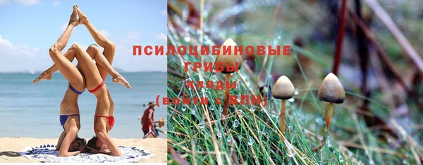 дживик Алексеевка